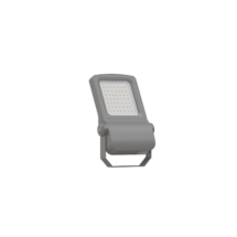 Professional LED Floodlight IP66